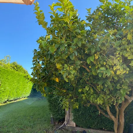 Casa Chichirica بيت للعطل كامبادوس