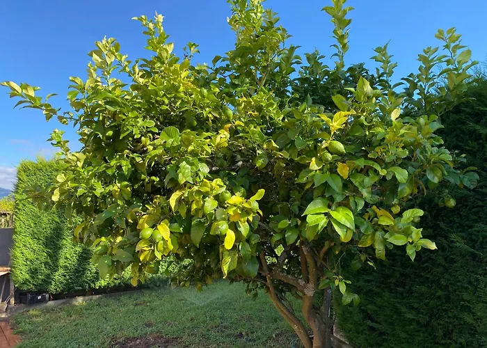 Casa Chichirica Cambados
